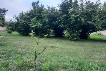Satılır Torpaq Vəndam Qəsəbəsində