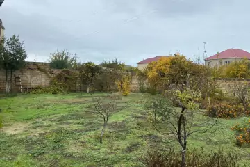 Satılır Torpaq Novxanıda