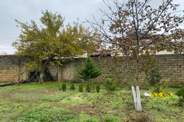 Satılır Torpaq Novxanıda