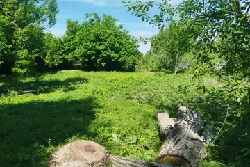 Satılır Torpaq İsmayıllı Rayonunda