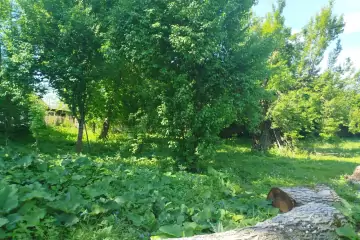 Satılır Torpaq İsmayıllı Rayonunda