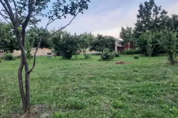 Satılır Torpaq Vəndam Qəsəbəsində