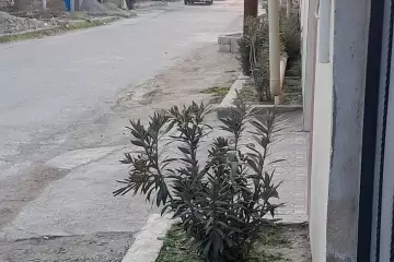 Satılır Həyət Evi Binədə
