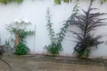 Aylıq Kirayə Villa Qusar Rayonunda