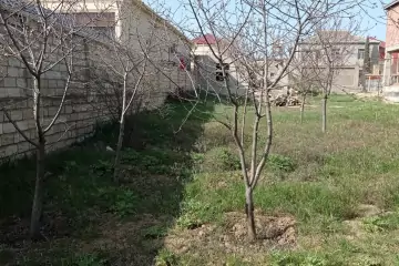Satılır Torpaq Mehdiabad (abşeron)da