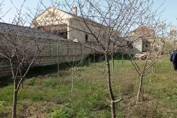 Satılır Torpaq Mehdiabad (abşeron)da