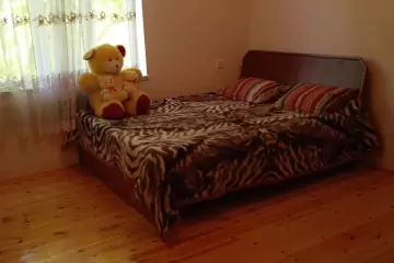 Günlük Kirayə Həyət Evi Qax Rayonunda