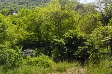 Satılır Həyət Evi İsmayıllı Rayonunda
