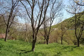 Satılır Həyət Evi İsmayıllı Rayonunda