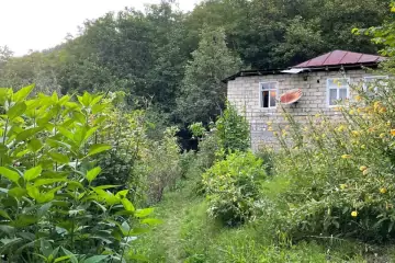 Satılır Həyət Evi İsmayıllı Rayonunda