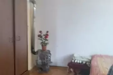 Aylıq Kirayə Həyət Evi Montində