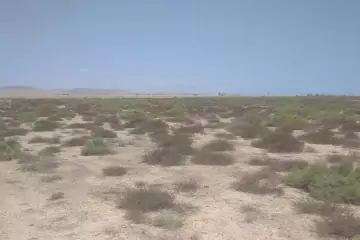 Satılır Torpaq ələtdə