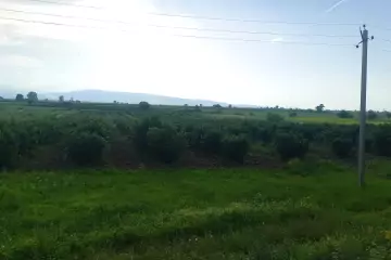Satılır Torpaq Ağstafa Rayonunda