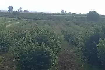 Satılır Torpaq Ağstafa Rayonunda