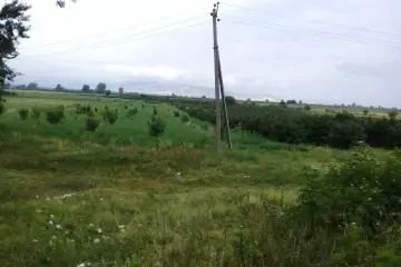 Satılır Torpaq Ağstafa Rayonunda