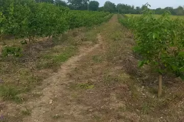 Satılır Torpaq Ağstafa Rayonunda