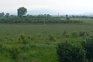 Satılır Torpaq Ağstafa Rayonunda