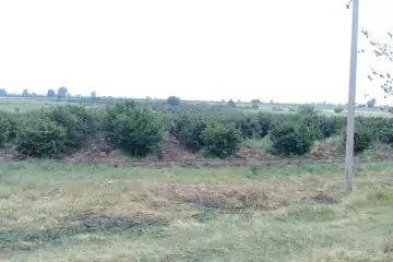 Satılır Torpaq Ağstafa Rayonunda