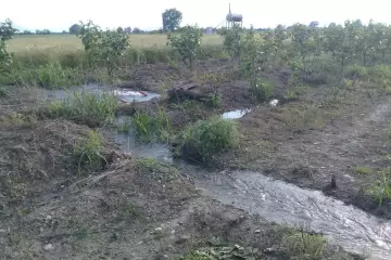 Satılır Torpaq Ağstafa Rayonunda