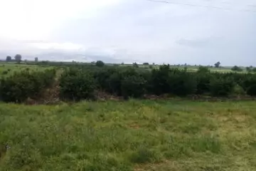 Satılır Torpaq Ağstafa Rayonunda