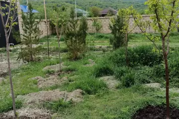 Günlük Kirayə Bağ Evi Xızı Rayonunda