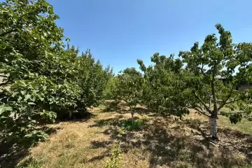 Satılır Həyət Evi Buzovnada