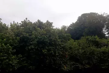 Satılır Torpaq Daşca Kəndində