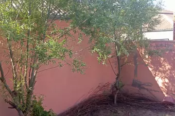 Satılır Həyət Evi Maştağada