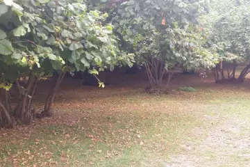 Satılır Torpaq Daşca Kəndində