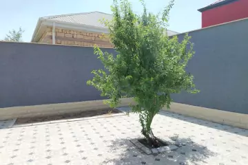 Satılır Həyət Evi Maştağada