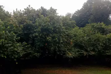 Satılır Torpaq Daşca Kəndində