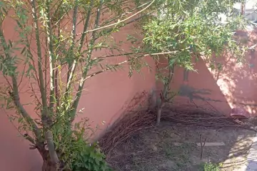 Satılır Həyət Evi Maştağada