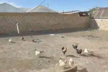 Satılır Həyət Evi Avtozavodda