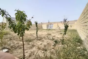 Satılır Torpaq Qobuda