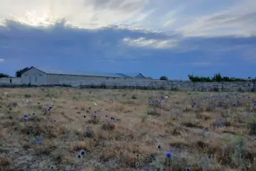 Satılır Torpaq Binədə
