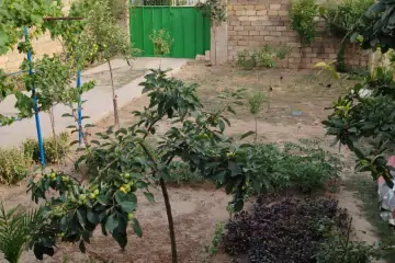 Satılır Həyət Evi Biləcəridə