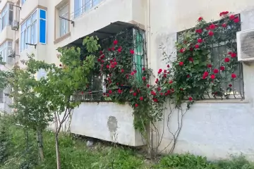 Satılır Yeni Tikili Masazırda
