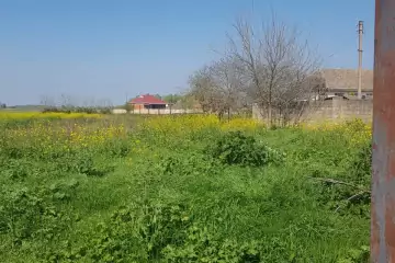 Satılır Həyət Evi Masallı Rayonunda