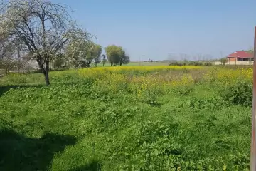 Satılır Həyət Evi Masallı Rayonunda