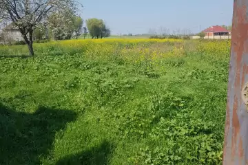 Satılır Həyət Evi Masallı Rayonunda