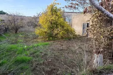 Satılır Torpaq şüvəlanda