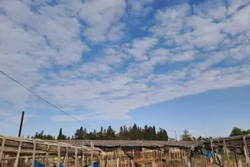 Satılır Həyət Evi Qalada