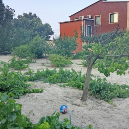 8 sot  torpaq satılır, Novxanı