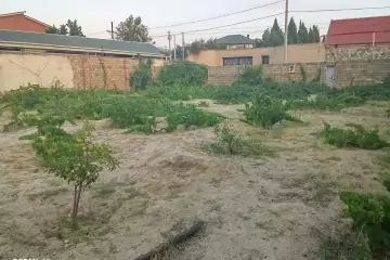 Satılır Torpaq Novxanıda