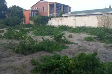Satılır Torpaq Novxanıda