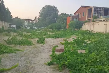 Satılır Torpaq Novxanıda