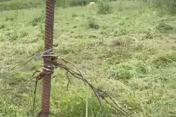 Satılır Torpaq Daşkəsən Rayonunda