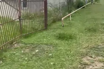 Satılır Torpaq Daşkəsən Rayonunda