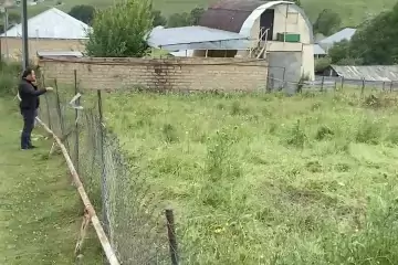 Satılır Torpaq Daşkəsən Rayonunda