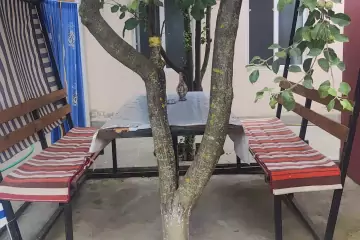 Günlük Kirayə Bağ Evi Quba Rayonunda